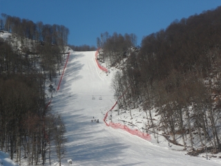 alpesi pálya